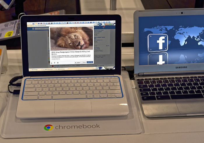 Laptop geöffnet mit Bild eines Löwen
